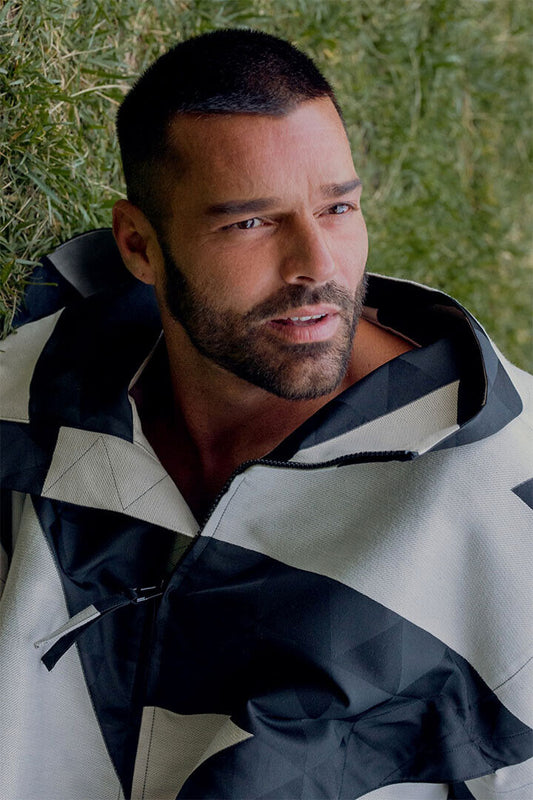 Ricky Martin Songwriter Writer Artist Poster Wall Art Print Home Wall Decor - xonomax