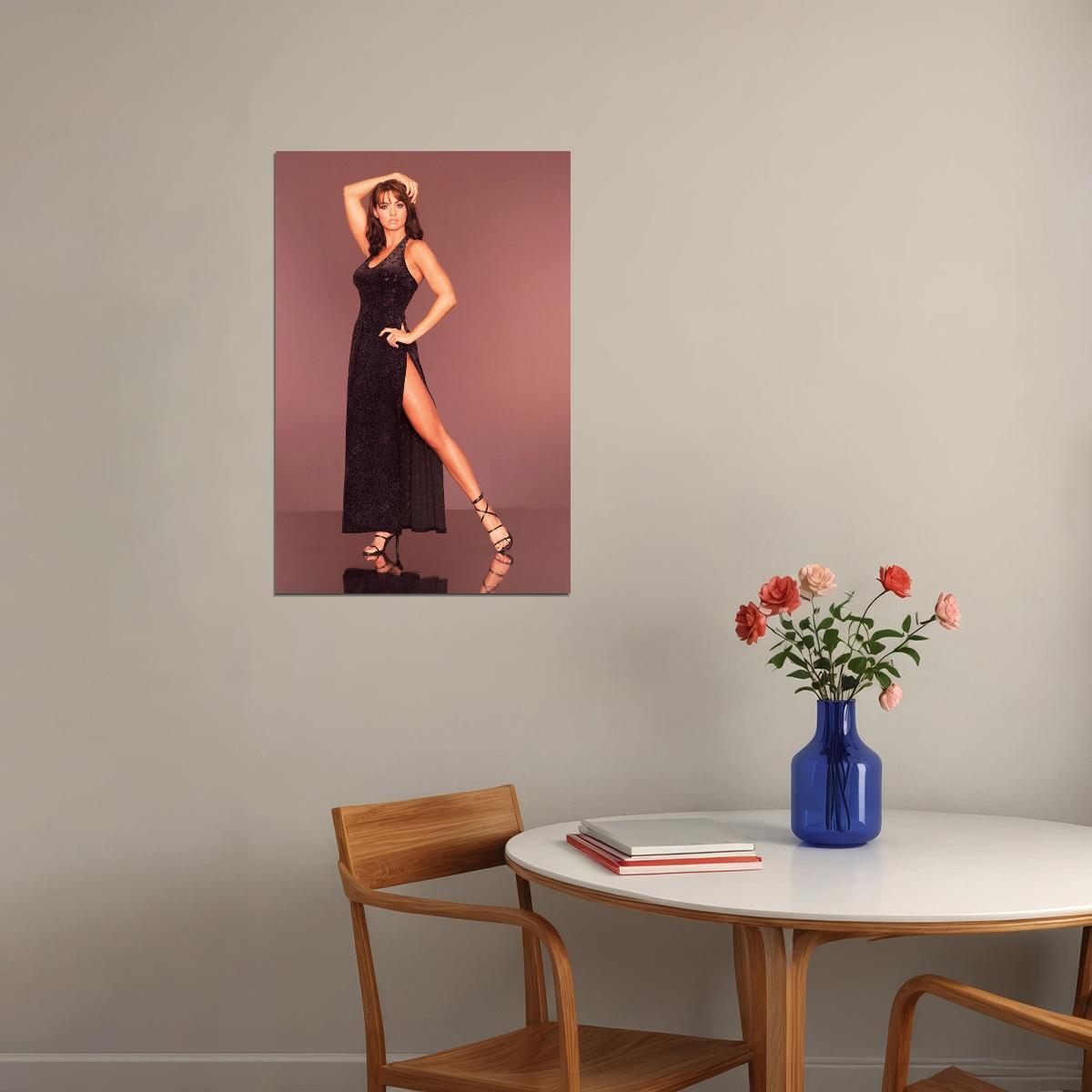 Karen Mcdougal Ballerina Modeling Actor Poster Wall Art Print Home Wall Decor - xonomax