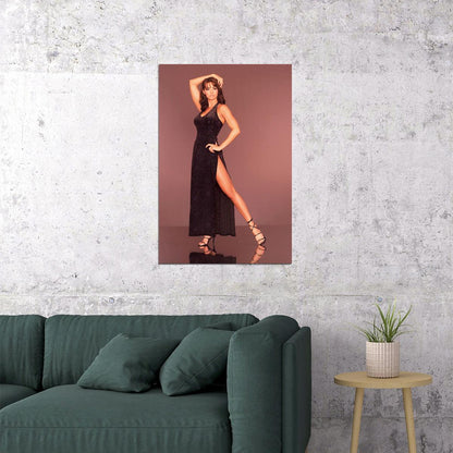 Karen Mcdougal Ballerina Modeling Actor Poster Wall Art Print Home Wall Decor - xonomax