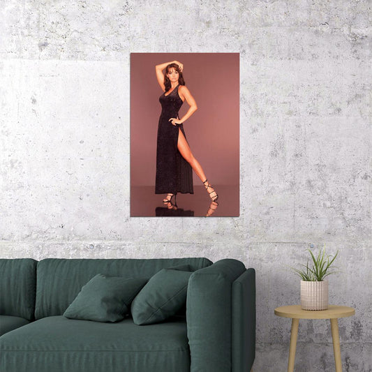 Karen Mcdougal Ballerina Modeling Actor Poster Wall Art Print Home Wall Decor - xonomax