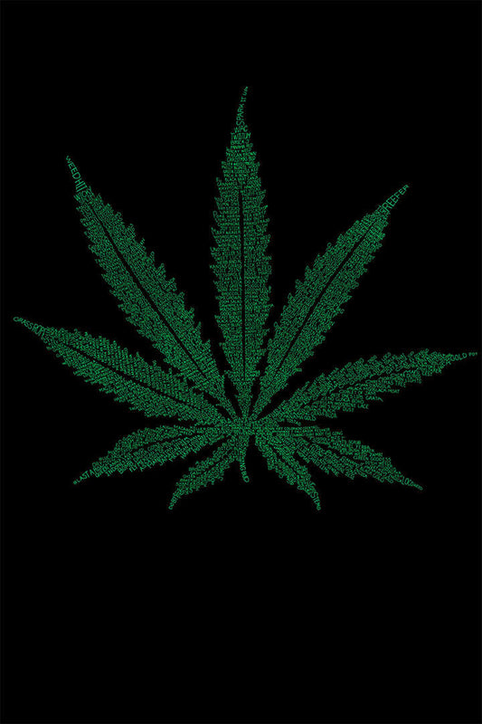 Marijuana Theme A Wiser Bud Poster Wall Art Print Home Wall Decor - xonomax