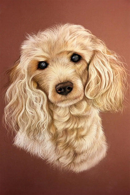 Poodle Hinds Drawing Poster Wall Art Print Home Wall Decor - xonomax
