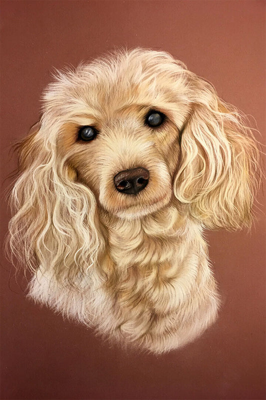 Poodle Hinds Drawing Poster Wall Art Print Home Wall Decor - xonomax