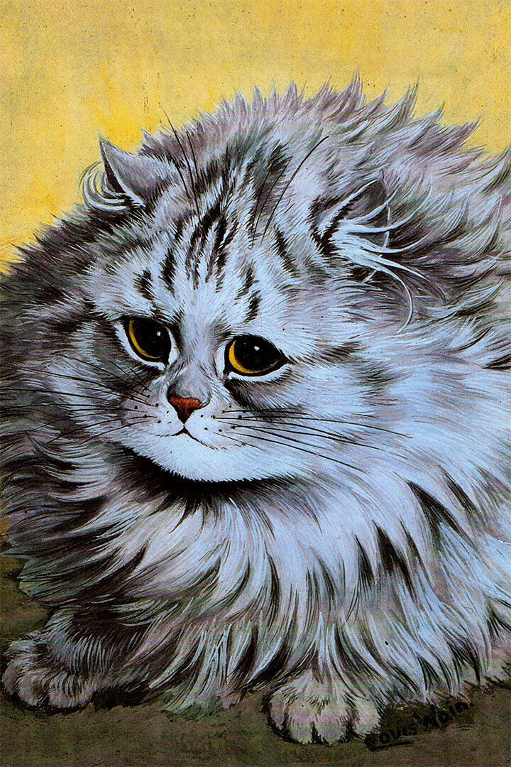 Persian Cat Drawing Poster Wall Art Print Home Wall Decor - xonomax