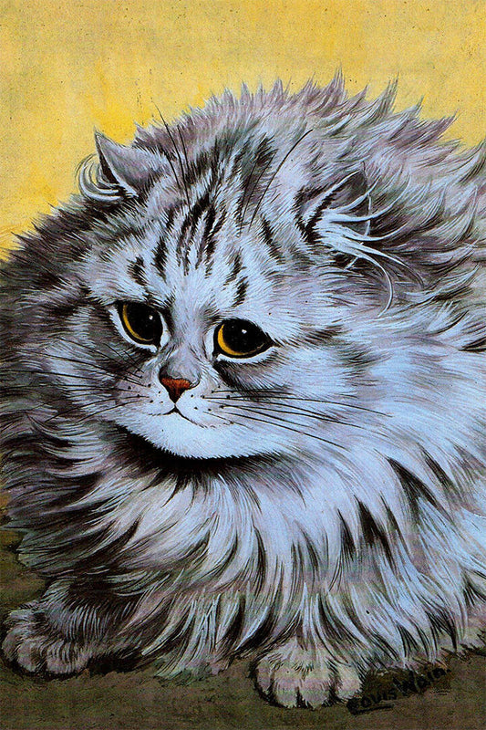 Persian Cat Drawing Poster Wall Art Print Home Wall Decor - xonomax