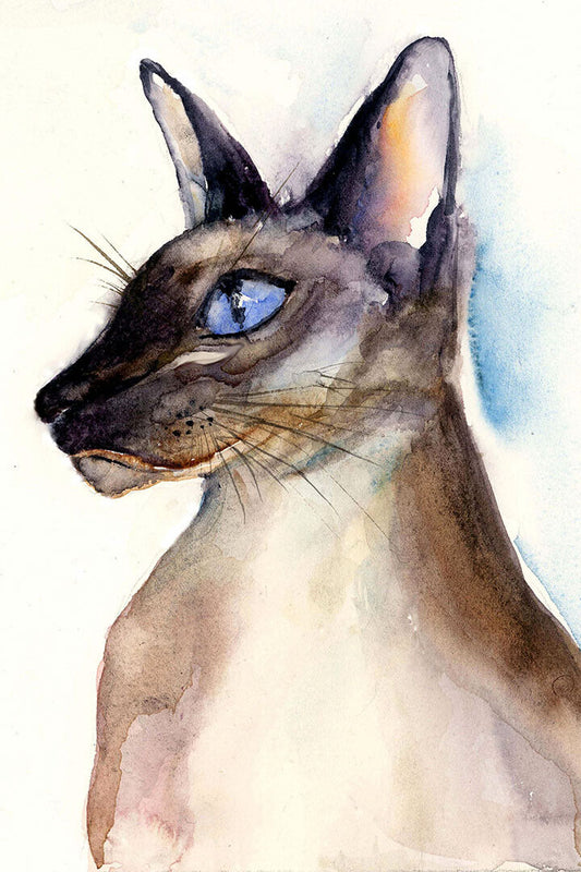 Siamese Cat Drawing Poster Wall Art Print Home Wall Decor - xonomax