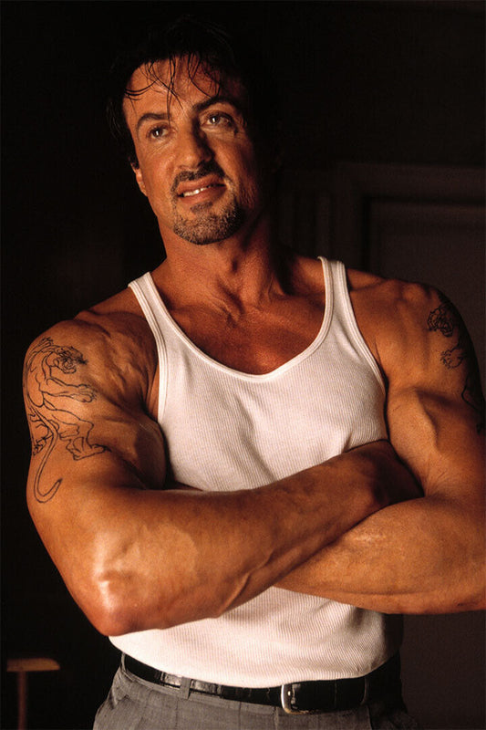 Sylvester Stallone Movie Actor Picture Poster Wall Art Print Home Wall Decor - xonomax