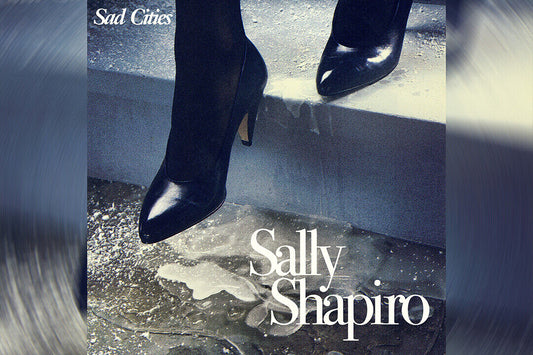 Sally Shapiro Sad Cities Music Album Poster Wall Art Print Home Wall Decor - xonomax