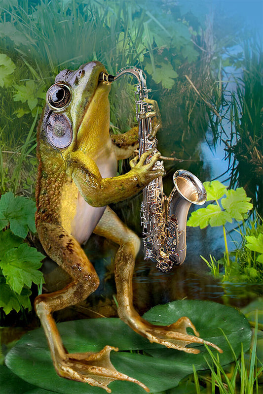 Musical Frog Fantasy Musical Poster Wall Art Print Home Wall Decor - xonomax