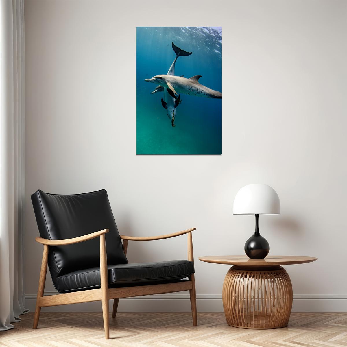 Animal Atlantic Dolphins Aquatic Life Poster Wall Art Print Home Wall Decor - xonomax