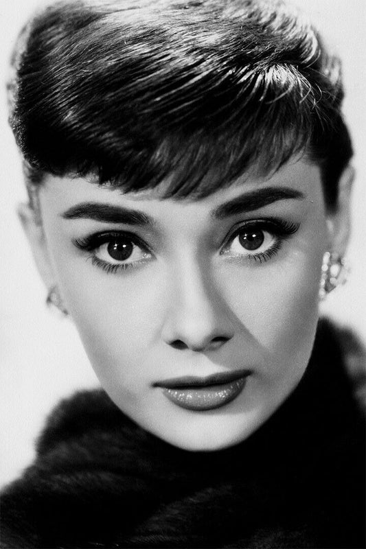 Audrey Hepburn Charitable Actor Model Vintage Poster Wall Art Print Home Wall Decor - xonomax