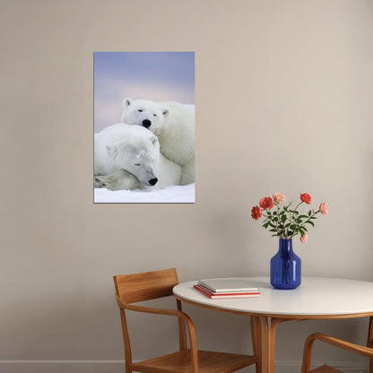 Polar Bears In The Snow Animals Polar Love Poster Wall Art Print Home Wall Decor