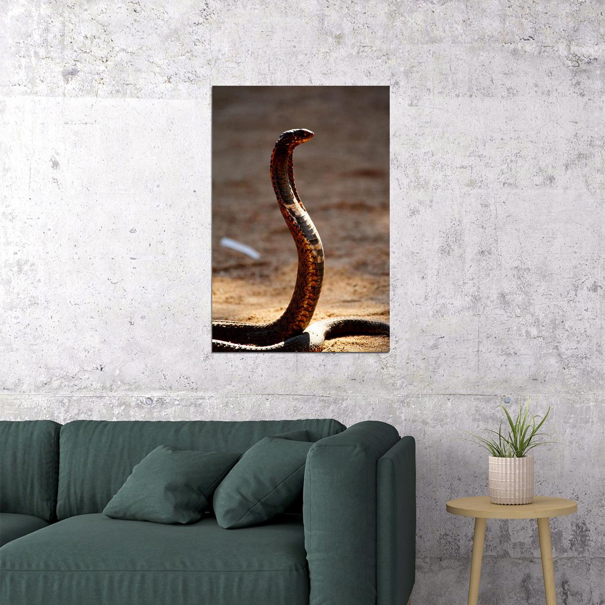 Cobra Reptile Animals Picture Poster Wall Art Print Home Wall Decor