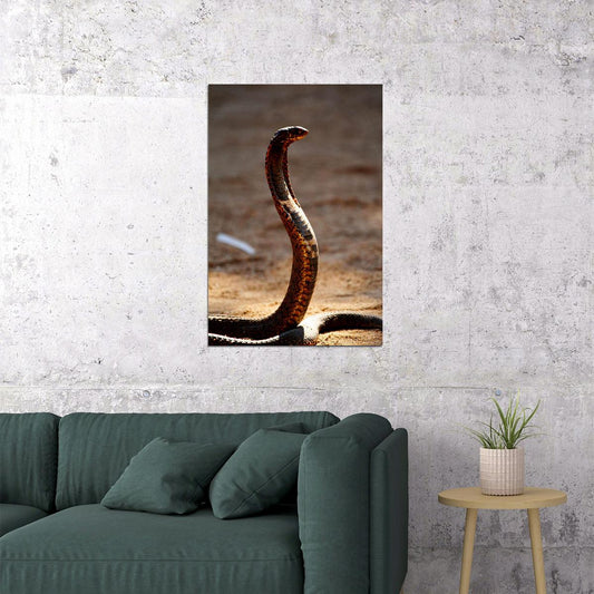 Cobra Reptile Animals Picture Poster Wall Art Print Home Wall Decor