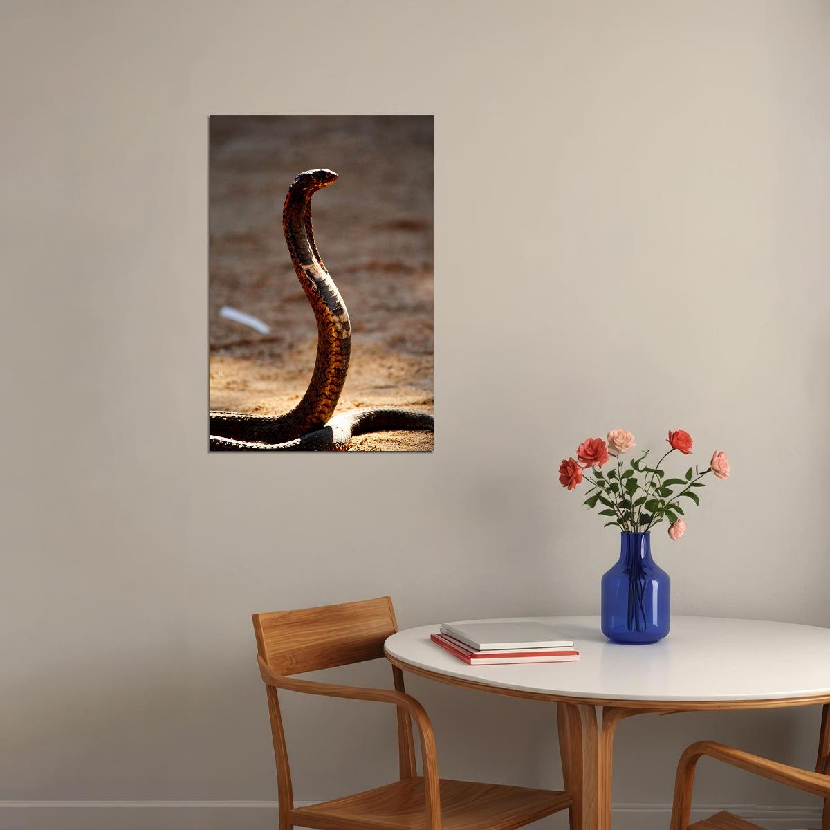 Cobra Reptile Animals Picture Poster Wall Art Print Home Wall Decor