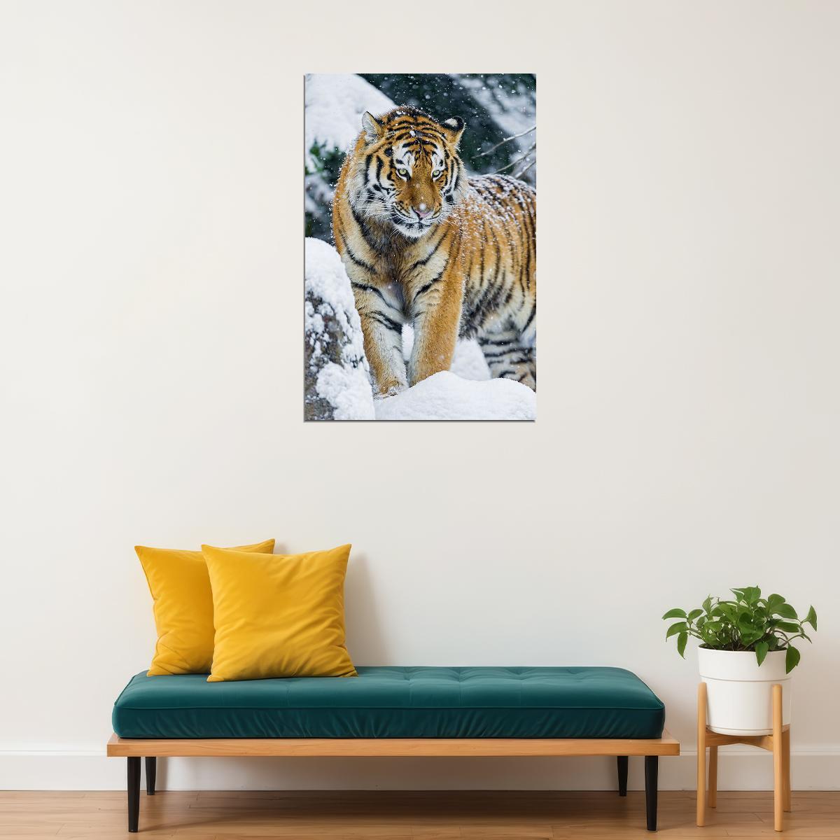 Tiger In Snow Animal Walking Picture Poster Wall Art Print Home Wall Decor