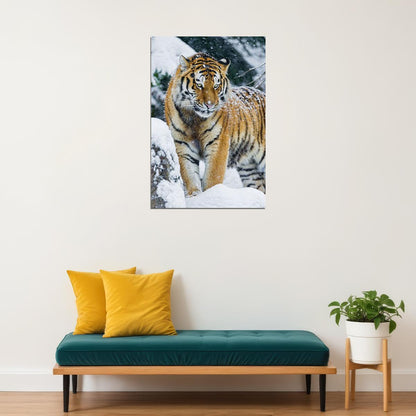 Tiger In Snow Animal Walking Picture Poster Wall Art Print Home Wall Decor
