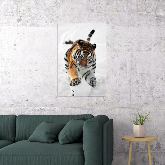Tiger In Snow Animal Dangerous Picture Poster Wall Art Print Home Wall Decor