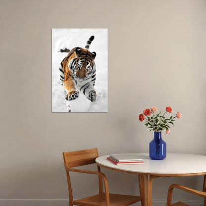 Tiger In Snow Animal Dangerous Picture Poster Wall Art Print Home Wall Decor