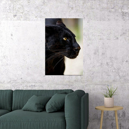 Mean Black Panther Animals Wild Nature Poster Wall Art Print Home Wall Decor