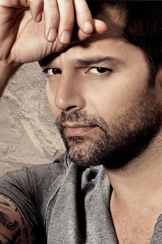 Ricky Martin Dark Gray Sweater Picture Poster Wall Art Print Home Wall Decor