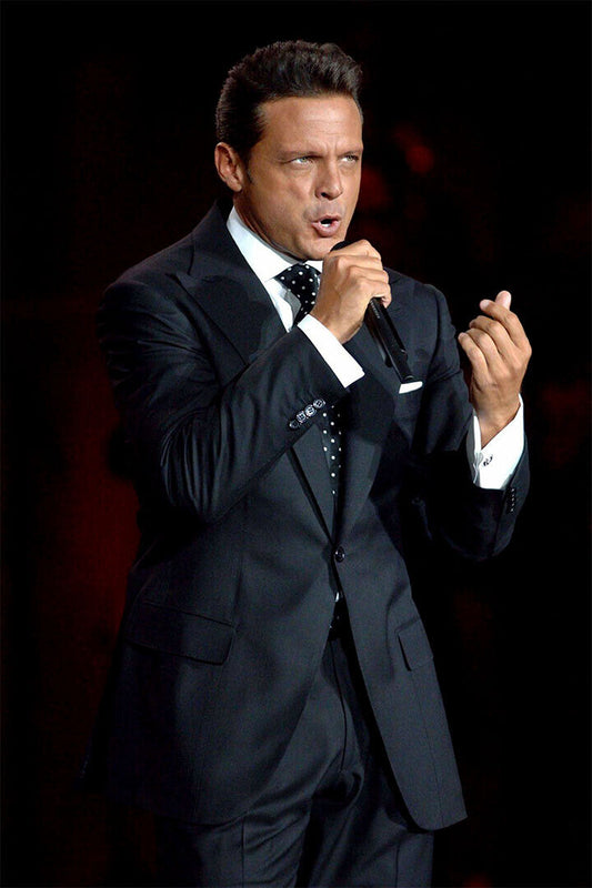 Luis Miguel Latin Male Singer Music Poster Wall Art Print Home Wall Decor