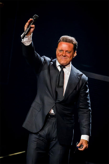Luis Miguel Latin Male Singer Music Event Poster Wall Art Print Home Wall Decor