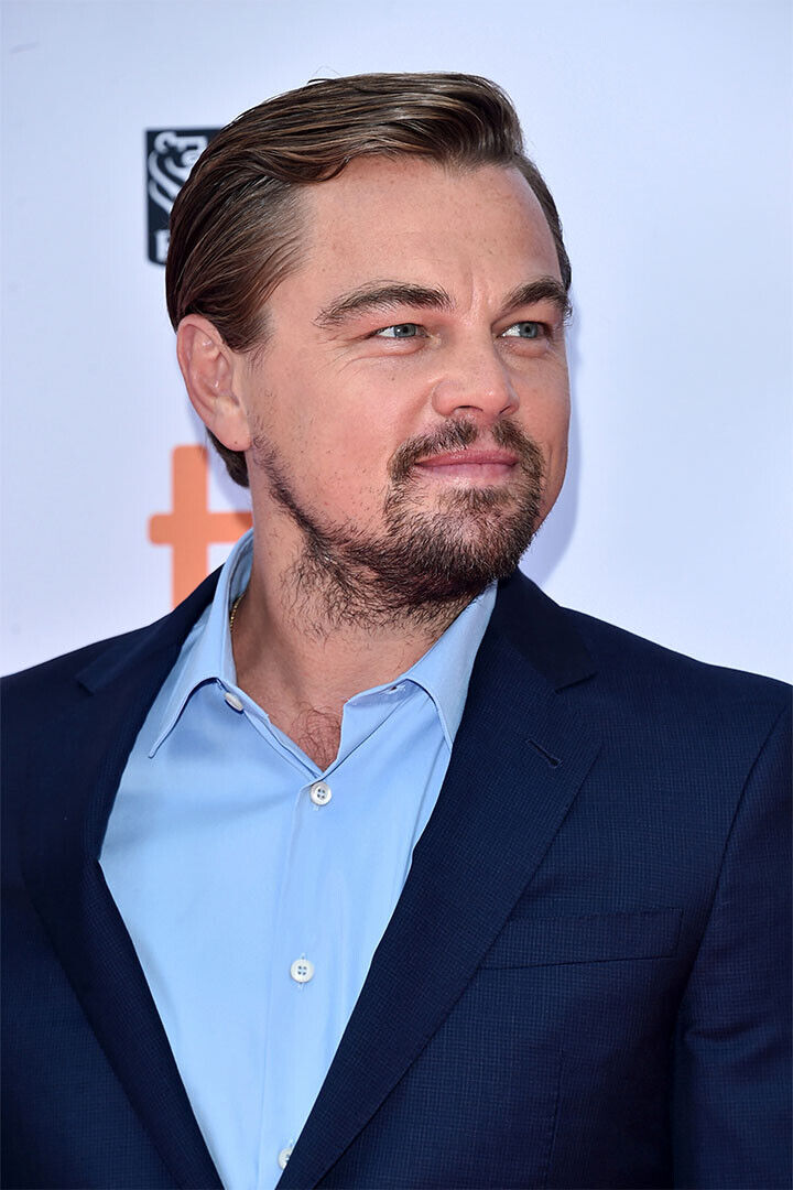 Leonardo Dicaprio Stylish Actor Male Poster Wall Art Print Home Wall Decor