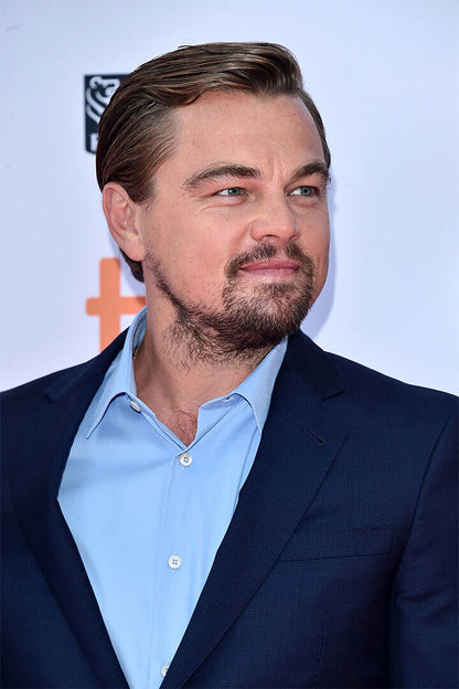 Leonardo Dicaprio Stylish Actor Male Poster Wall Art Print Home Wall Decor