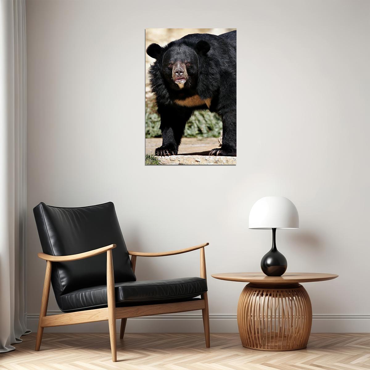 Sun Bear Animal Dangerous Poster Wall Art Print Home Wall Decor