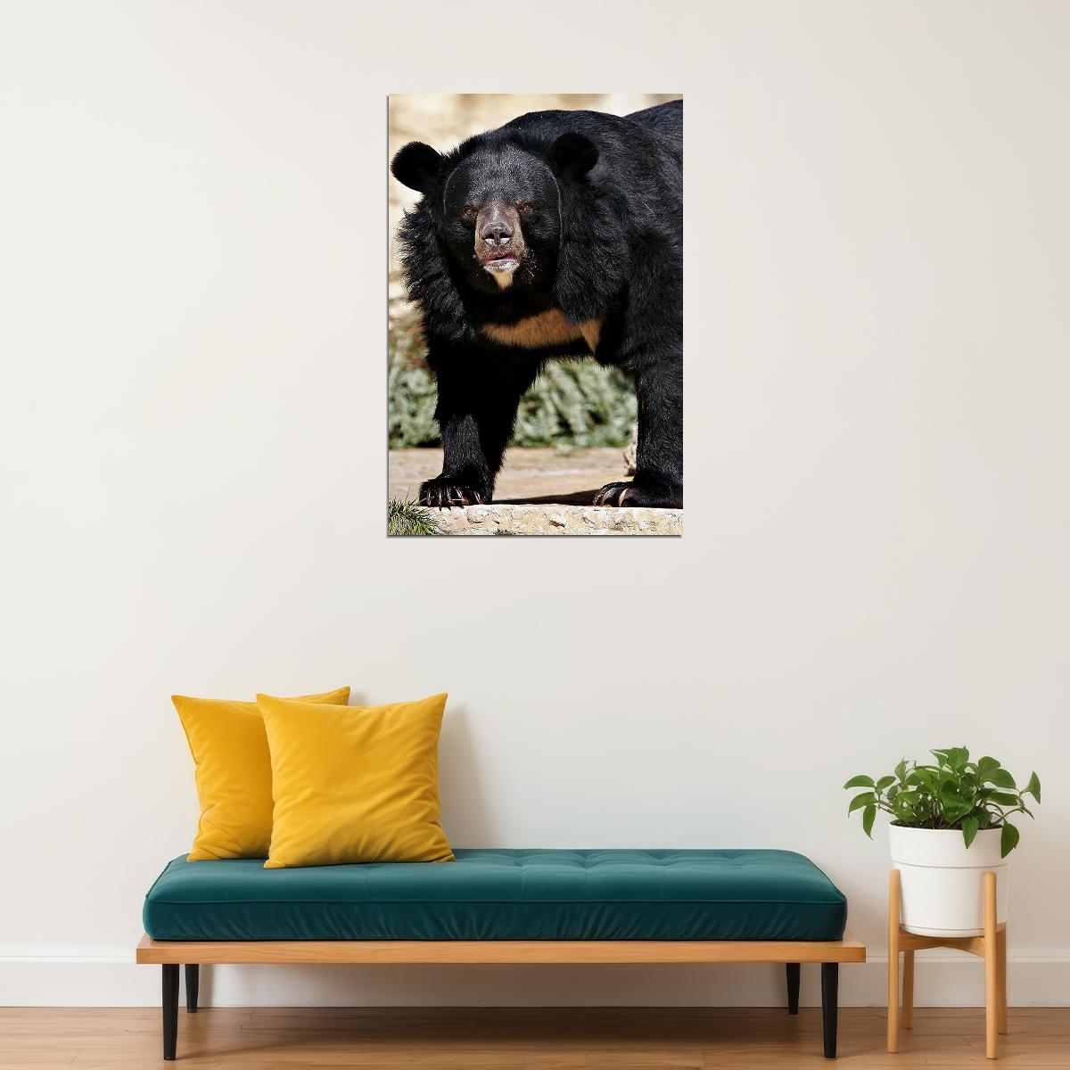 Sun Bear Animal Dangerous Poster Wall Art Print Home Wall Decor