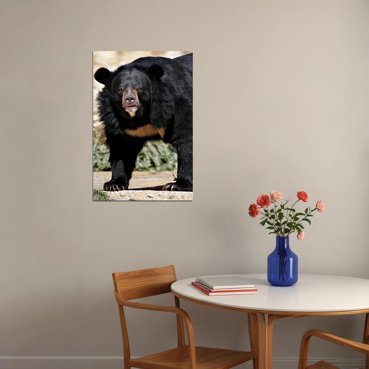 Sun Bear Animal Dangerous Poster Wall Art Print Home Wall Decor