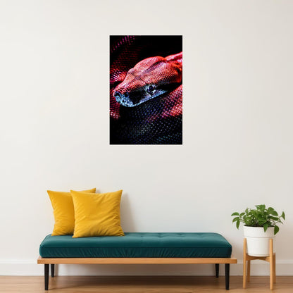 Snake Psychedelic Cobra Animal Reptile Poster Wall Art Print Home Wall Decor