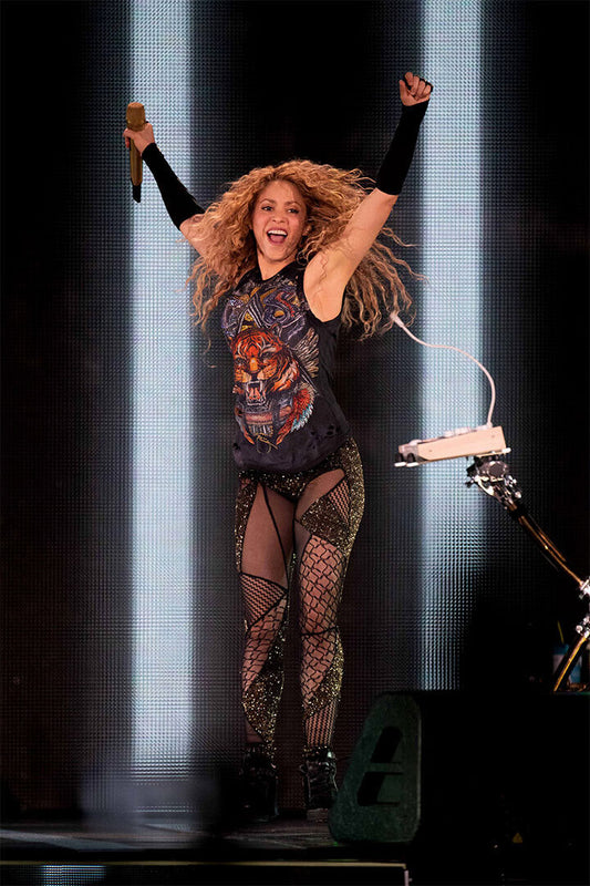 Shakira In Concert Hot Musician Singer Poster Wall Art Print Home Wall Decor