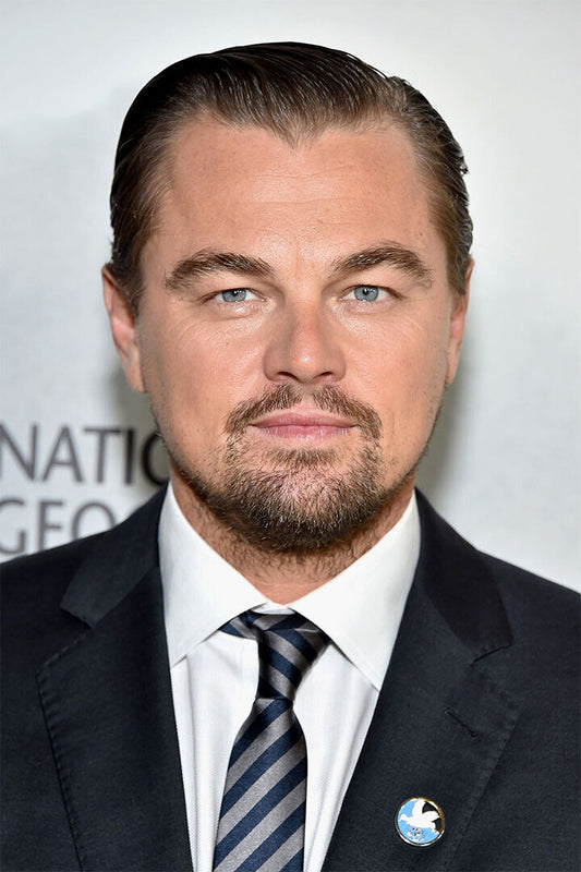 Leonardo Di Caprio Cute Boy Handsome Poster Wall Art Print Home Wall Decor