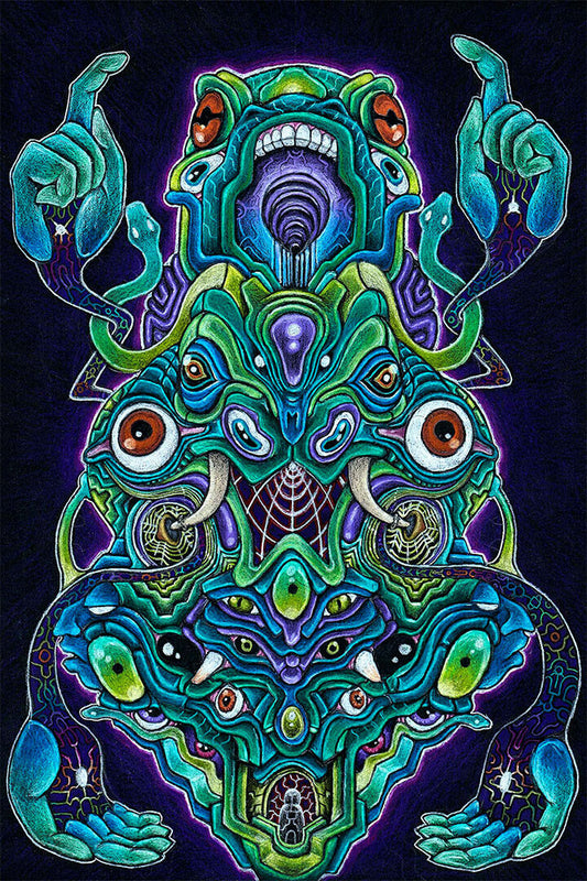 Psychedelic Zoop Colorful Artwork Science Poster Wall Art Print Home Wall Decor