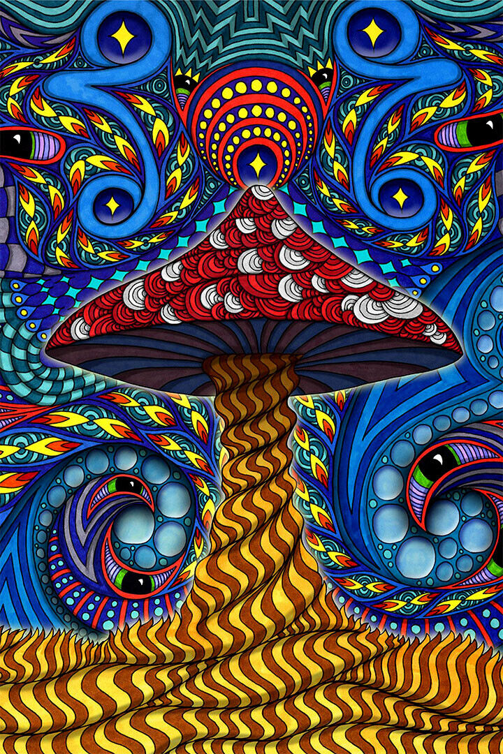 Magic Mushroom Pyschedelic Artwork Poster Wall Art Print Home Wall Decor