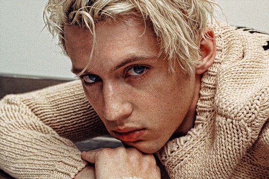Troye Sivan Celebrity Cinema Actor Musician Poster Wall Art Print Home Wall Decor