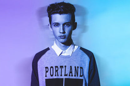 Troye Sivan Celebrity Cinema Actor Musician Poster Wall Art Print Home Wall Decor