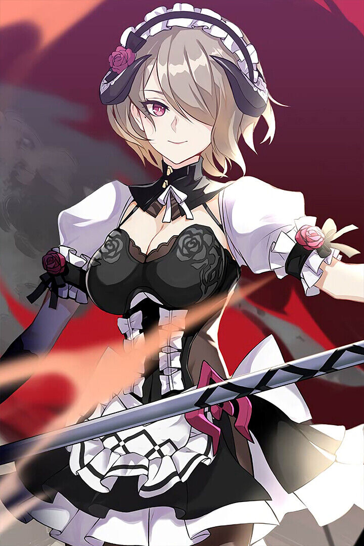 Honkai Impact 3rd Girl Beauty Figt Game Poster Wall Art Print Home Wall Decor