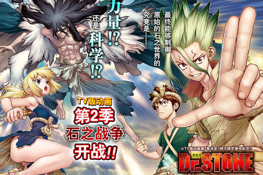 Dr Stone Senku Ishigami Season 2 Fight Japan Anime Poster Wall Art Print Home Wall Decor