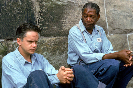 The Shawshank Redemption Andy Dufresne Movie Poster Wall Art Print Home Wall Decor