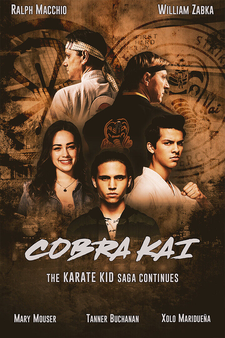 Cobra Kai Season 1 2 3 Karate Fight Tv Show Poster Wall Art Print Home Wall Decor