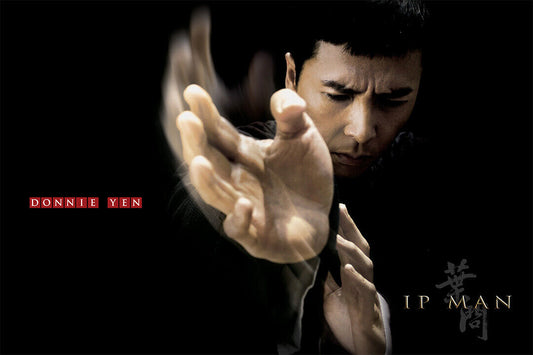 Ip Man Donnie Yen Kong Fu Fight Master Movie Poster Wall Art Print Home Wall Decor