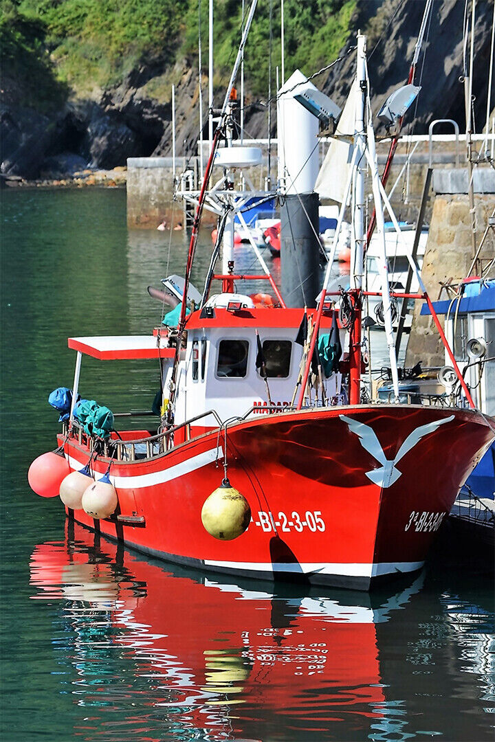 Arab Fishing Boats Fish Watercraft Poster Wall Art Print Home Wall Decor