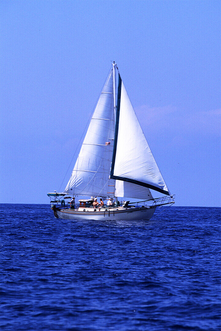 Sailboat Off Green Island Watercraft Poster Wall Art Print Home Wall Decor