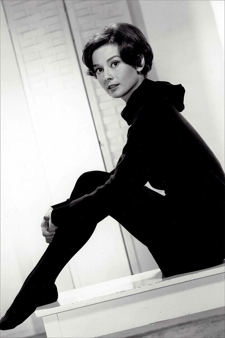 Hepburn Audrey Actress Charitable Fashion Model Poster Wall Art Print Home Wall Decor