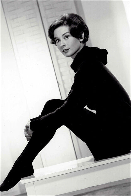 Hepburn Audrey Actress Charitable Fashion Model Poster Wall Art Print Home Wall Decor