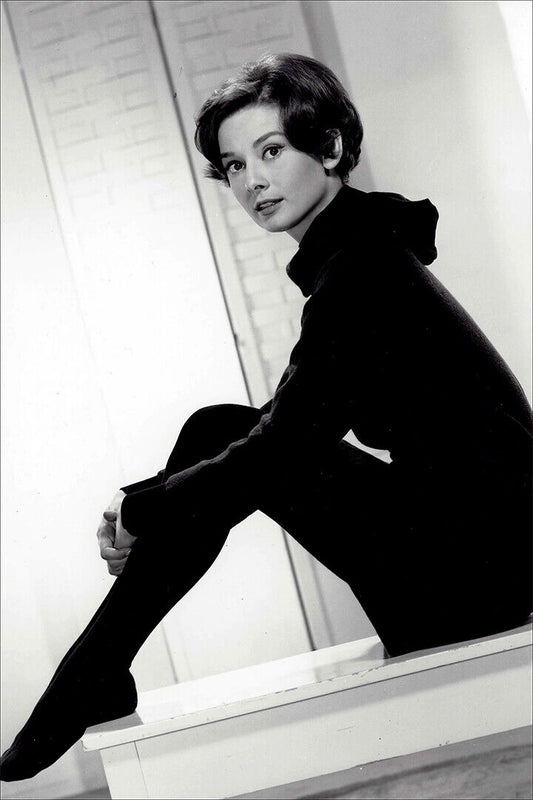 Hepburn Audrey Actress Charitable Fashion Model Poster Wall Art Print Home Wall Decor