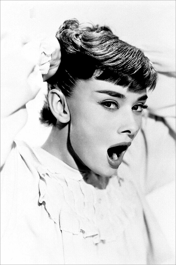 Hepburn Audrey Fashion Actor Charitable Poster Wall Art Print Home Wall Decor